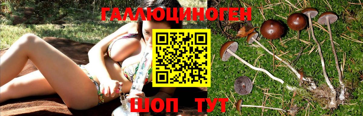 Псилоцибиновые грибы MAGIC MUSHROOMS Керчь
