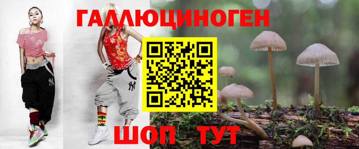 где продают   Вход с VPN  Керчь  Галлюциногенные грибы Magic Shrooms 